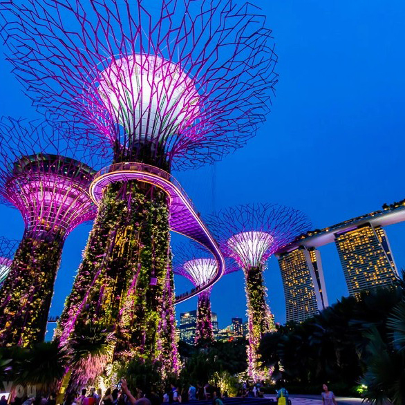 新加坡濱海灣花園聖淘沙島