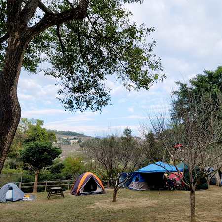 苗栗綠野景山露營地